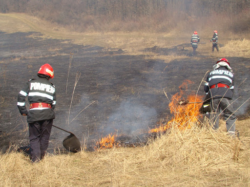 Zeci de hectare de vegetație uscată, mistuite de flăcări