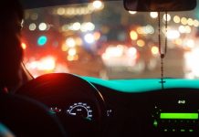 Amenzi usturătoare pentru cei care merg cu animalul de companie în maşină