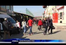 CUM NE PROTEJĂM DE VIRUȘI