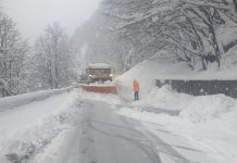 Opt avalanșe în Defileul Jiului