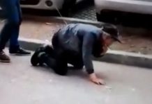 Un bărbat din Gorj a fost filmat în timp ce se plimbă cu un bărbat ținut în lesă, pe o stradă dintre blocuri 534