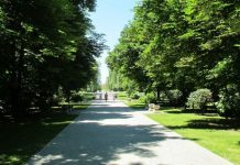 Coronavirus! S-a interzis accesul în Parcul Municipal din Târgu-Jiu