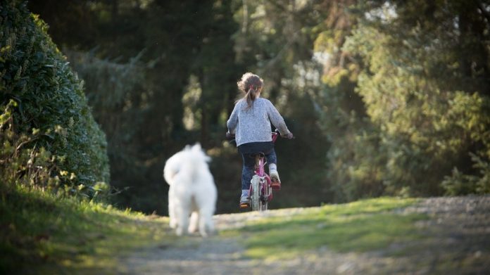 Fetiță de 11 ani din Gorj, moartă după ce a fost spulberată de mașină