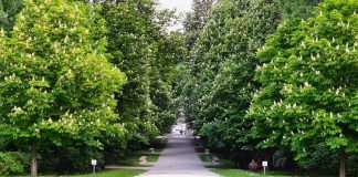 De astăzi, accesul în Parcul Municipal „Constantin Brâncuși”, Parcul Coloanei Fără Sfârșit este permis
