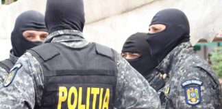 Poliţiştii fac 18 percheziţii în Alba, Vâlcea, Sibiu şi Gorj, la persoane bănuite că ar fi tăiat arbori din fondul forestier naţional