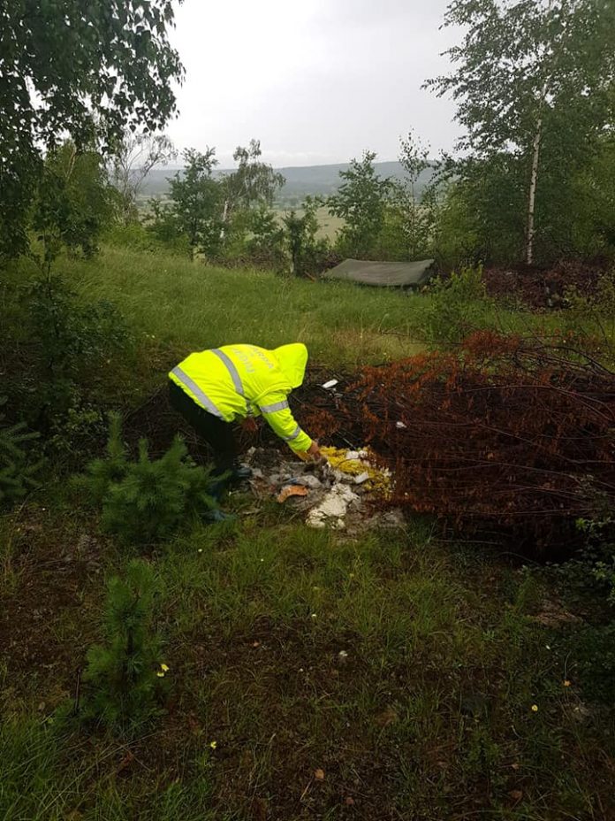 Deșeuri menajere și resturi din construcții într-o pădure din Rugi