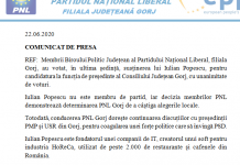 12:19 DECIZIE: Iulian Popescu, candidatul susținut de PNL la președinția Consiliului Județean Gorj