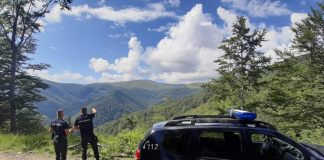 Jandarmii au sancționat doi șoferi care își testau mașinile pe o pajiște alpină