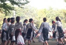 Festivalul ,,Tismana 2020” se va desfășura online