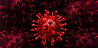 17 cazuri noi de coronavirus în județul Gorj