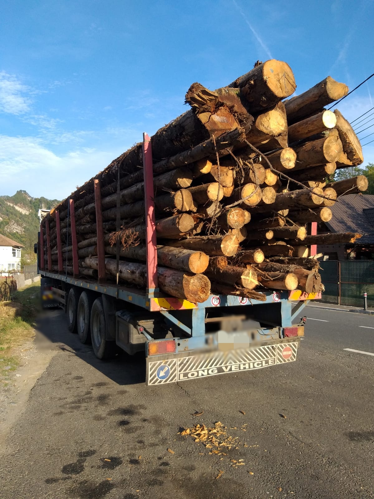 Inginerul silvic a a desfăşurat acte de transport şi comerţ cu material lemnos (657 transporturi)