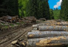 Sistemul SUMAL 2.0 intră în vigoare la 1 noiembrie