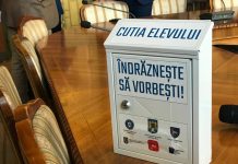 Planul autorităților pentru prevenirea delincvenței juvenile