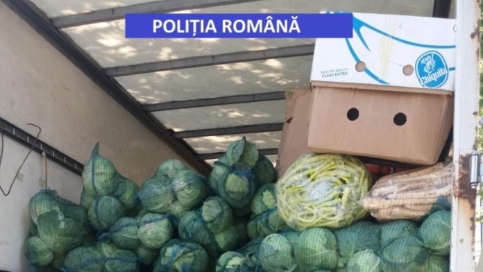 Un bărbat din Rovinari oferea spre vânzare 1.950 kg de varză albă, din interiorul unei autoutilitare, fără a deține documente legale