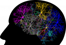 Ziua mondială a accidentului vascular cerebral