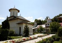 Interviu cu Preacuviosul Părinte Protosinghel Irineu, Preotul de altar al Mănăstirii «Sfânta Treime» de la Strâmba-Jiu, Turceni, Gorj – ,,Ne trebuie multă răbdare, înţelepciune şi bunăcuviinţă, ca să putem să trecem peste toate necazurile, care tot prin Voia Lui Dumnezeu, vin asupra noastră”!