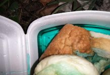 Video: A lăsat mâncare cu antigel pentru a ucide câinii din Bilteni