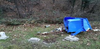 Gorj: Pubelă de gunoi, distrusă în Defileul Jiului
