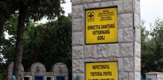 Direcția Sanitar-Veterinară și pentru Siguranța Alimentelor Gorj are o nouă conducere, după ce actualul director executiv a fost demis din funcție.