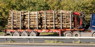 Transport ilegal de material lemnos la Iezureni