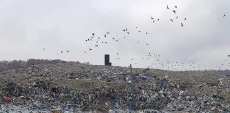 Gunoiul din Gorj nu mai poate fi depozitat de marți la Târgu Jiu