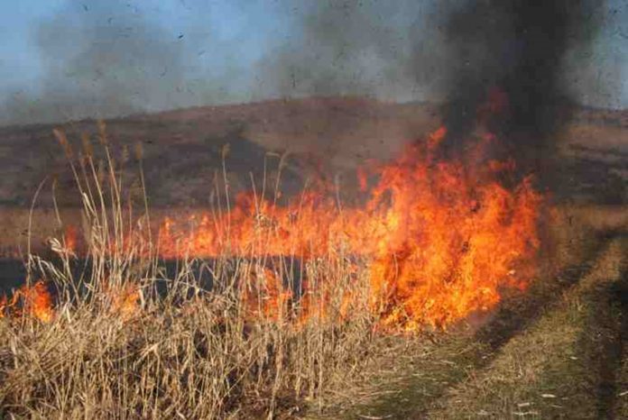 Record alarmant: Peste 100 de incendii de vegetație uscată în ultimele 10 zile!