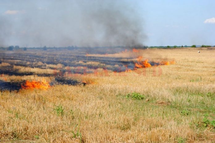 Un bărbat bănuit de săvârșirea infracțiunilor de amenințare, distrugere prin incendiere și tentativă de distrugere prin incendiere, reținut