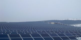 CEO vrea să construiască parcuri fotovoltaice în Gorj și Dolj