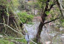 Conducta de apă a municipiului Târgu Jiu, în pericol