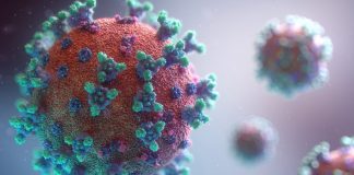 Câte persoane au decedat, în ultimele 24 de ore, din cauza coronavirusului