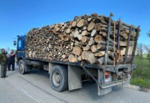Polițiștii au depistat un bărbat din județul Gorj în timp ce transporta cu un autotren, material lemnos, fără a deține documente de transport