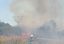 Târgu Jiu: Incendiu de proporții în cartierul Narciselor