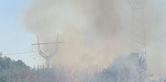 Târgu Jiu: Incendiu de proporții în cartierul Narciselor