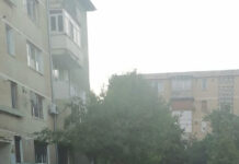 Municipiul Motru, plin de maidanezi! Padocul neîncăpător pentru alte patrupede