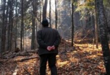 Pădurar de la Ocolul Silvic Motru, bătut cu parul