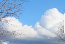 Toalete ecologice în zonele aglomerate din oraș