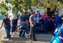 Bunoaica merge la București, Tomescu prin cariere