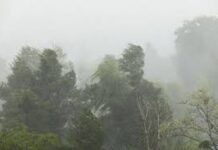 Avertizări Cod galben de vijelii în Dolj și alte 8 județe Avertizări Cod galben de vijelii în Dolj ;i alte 8 județe