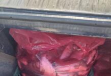 Braconieri lăsați fără mașină