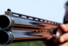 Acuzați de braconaj, lăsați fără arme
Patru bărbați au fost văzuți sâmbătă pe raza Fondului Cinegetic Motru Mare, în punctul g…