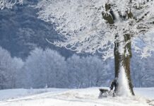 Alertă meteo - Cod galben de fenomene periculoase