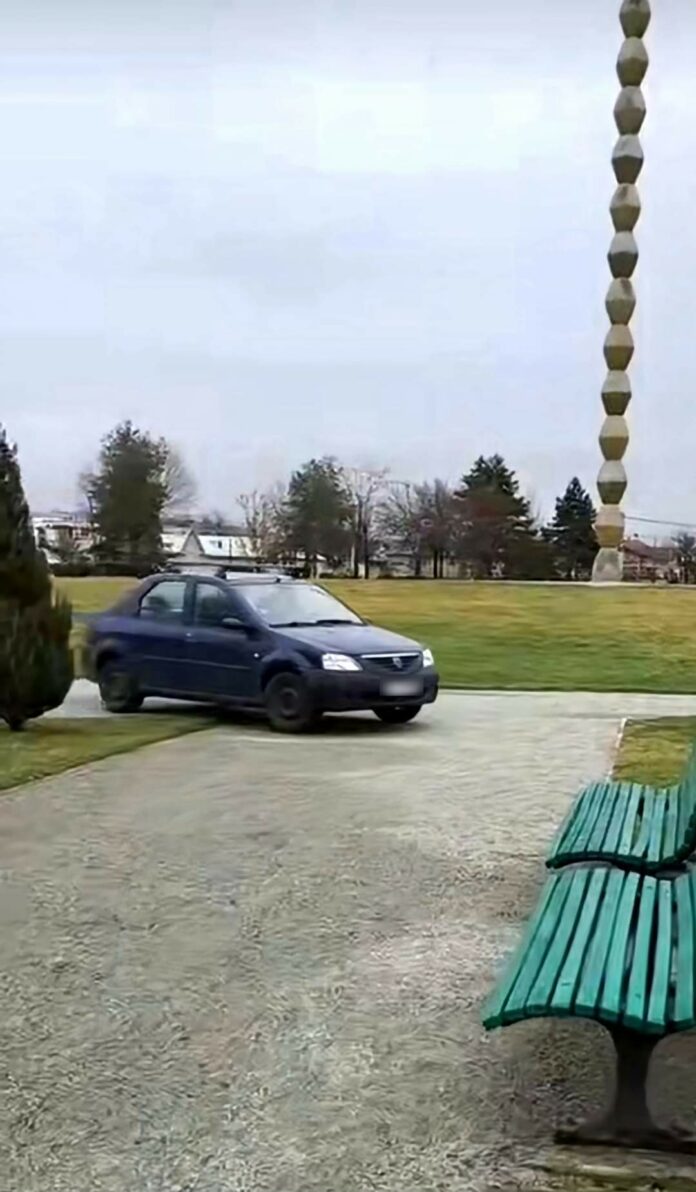 Un șofer de 73 de ani a intrat cu mașina în Parcul 