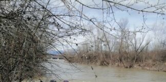Apele Române Jiu au sancționat Termocentrala Rovinari pentru poluarea de pe Jiu