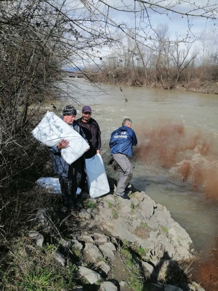 Apele Române Jiu au sancționat Termocentrala Rovinari pentru poluarea de pe Jiu