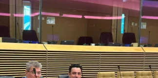 Delegație CJ Gorj, la Comisia Europeană, pentru discuții privind Programul Tranziție Justă