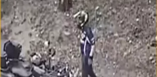 Poliția din Târgu Jiu caută un bărbat care a abandonat trei cățeluși