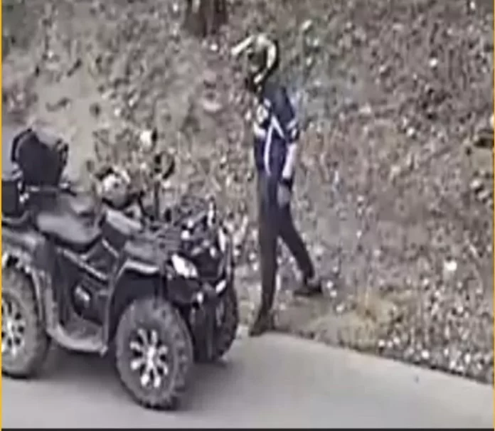 Poliția din Târgu Jiu caută un bărbat care a abandonat trei cățeluși