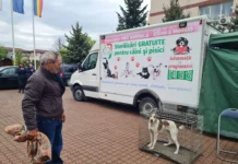 Sterilizări gratuite de câini și pisici, la Motru