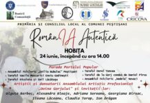 Grigore Leșe este cap de afiș la Festivalul de la Hobița