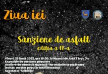 Festivalul „Sânziene pe asfalt”, la Târgu Jiu